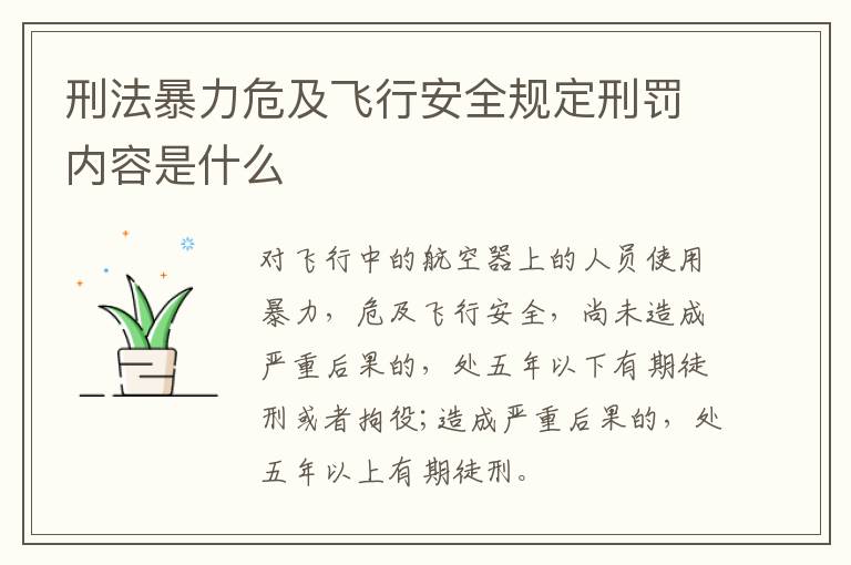 刑法暴力危及飞行安全规定刑罚内容是什么