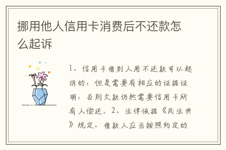 挪用他人信用卡消费后不还款怎么起诉