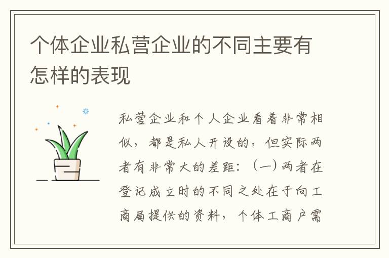个体企业私营企业的不同主要有怎样的表现