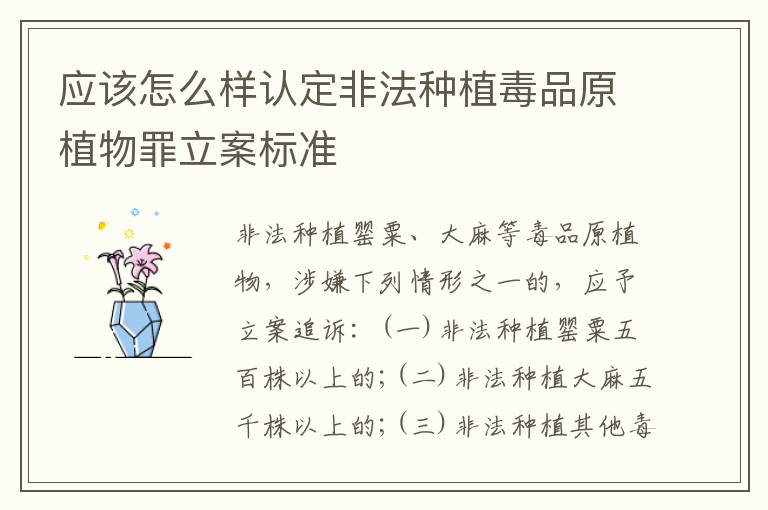 应该怎么样认定非法种植毒品原植物罪立案标准