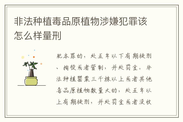 非法种植毒品原植物涉嫌犯罪该怎么样量刑