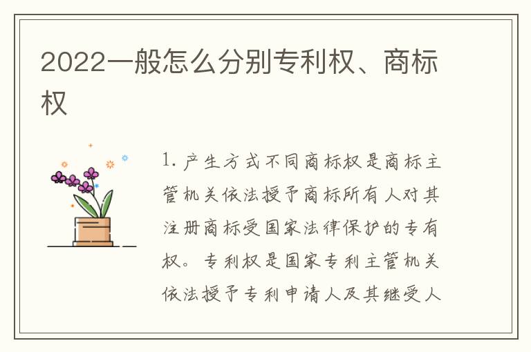 2022一般怎么分别专利权、商标权