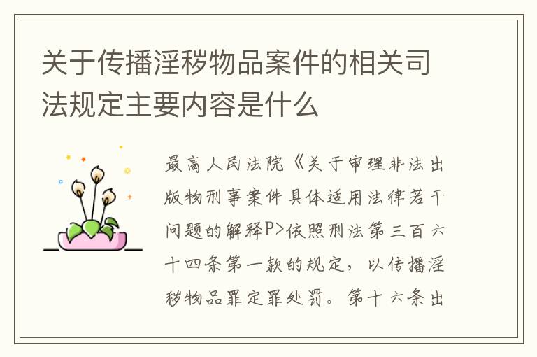 关于传播淫秽物品案件的相关司法规定主要内容是什么