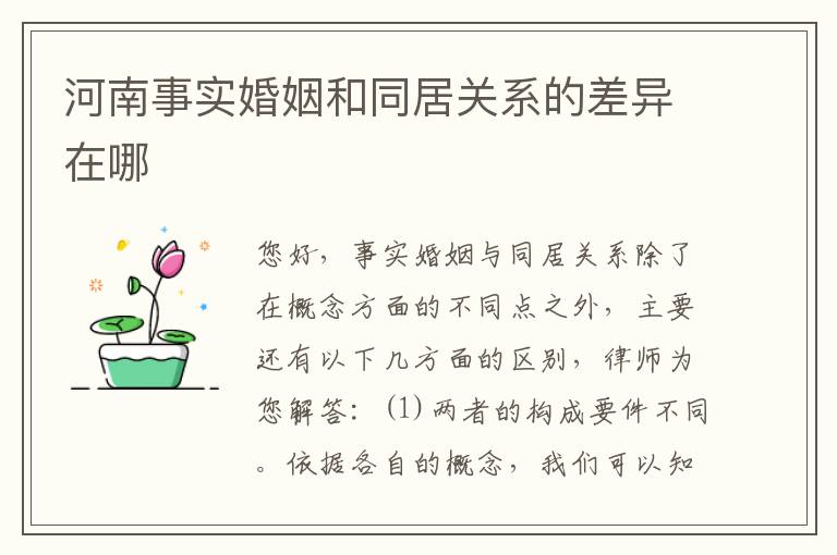 河南事实婚姻和同居关系的差异在哪