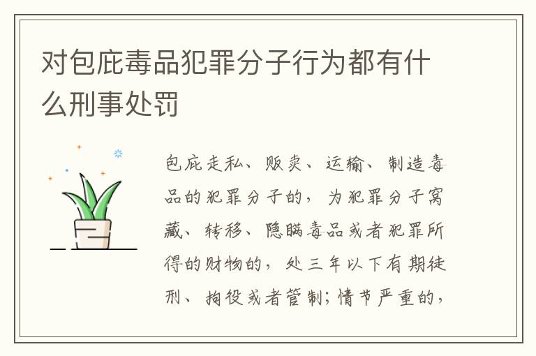 对包庇毒品犯罪分子行为都有什么刑事处罚