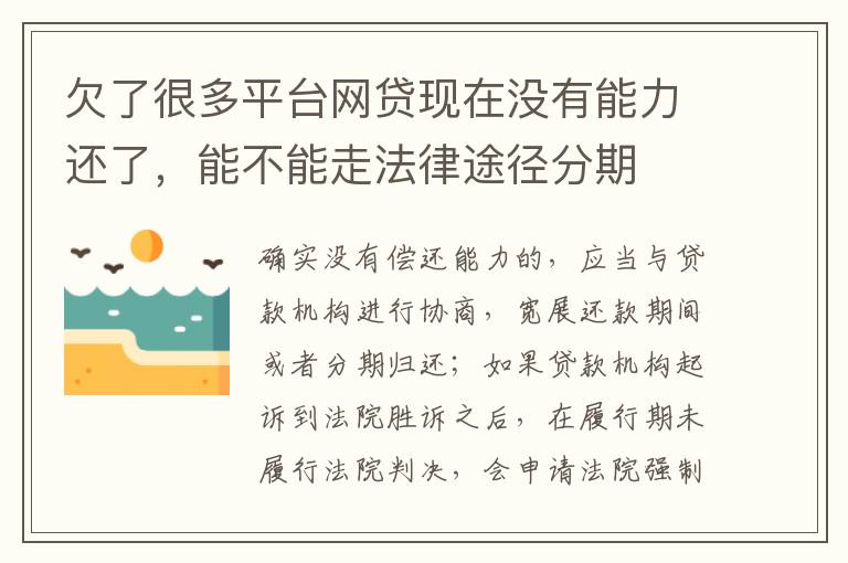 欠了很多平台网贷现在没有能力还了，能不能走法律途径分期