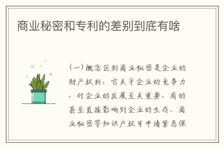 商业秘密和专利的差别到底有啥