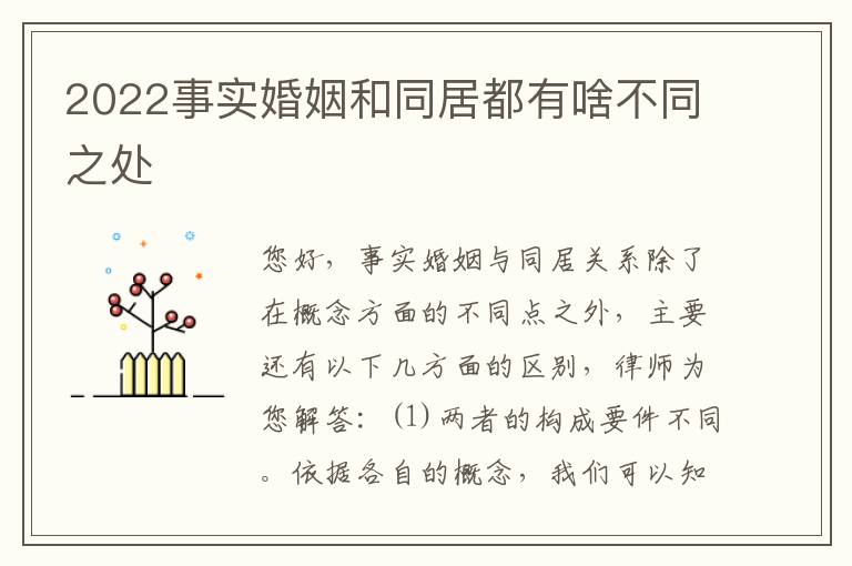 2022事实婚姻和同居都有啥不同之处