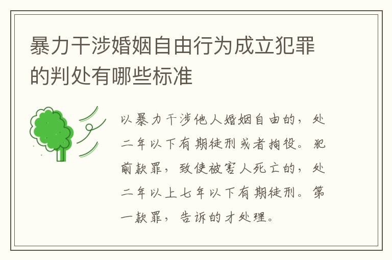 暴力干涉婚姻自由行为成立犯罪的判处有哪些标准