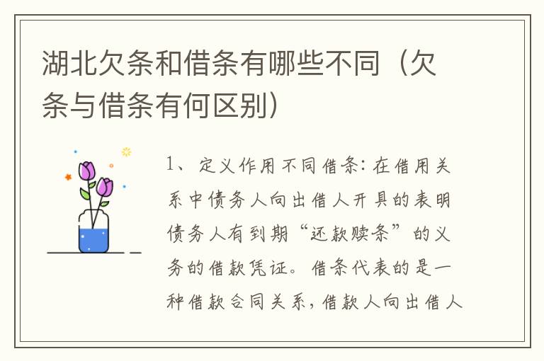 湖北欠条和借条有哪些不同（欠条与借条有何区别）