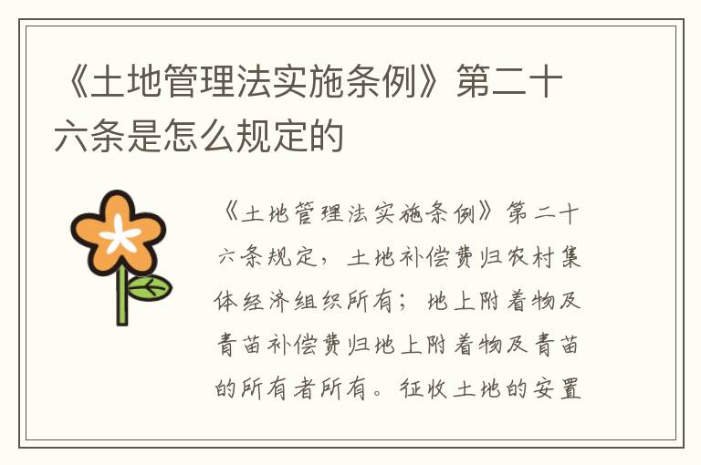 《土地管理法实施条例》第二十六条是怎么规定的