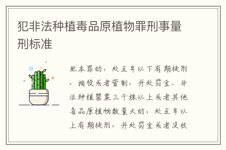 犯非法种植毒品原植物罪刑事量刑标准