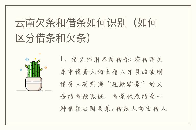 云南欠条和借条如何识别（如何区分借条和欠条）