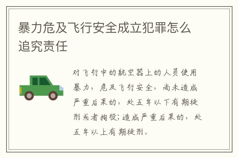 暴力危及飞行安全成立犯罪怎么追究责任