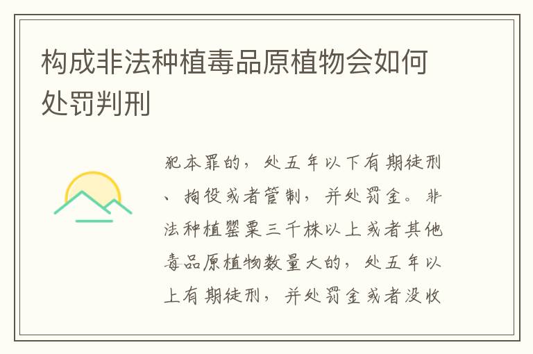 构成非法种植毒品原植物会如何处罚判刑