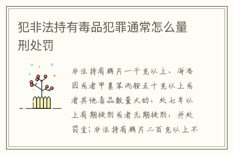 犯非法持有毒品犯罪通常怎么量刑处罚