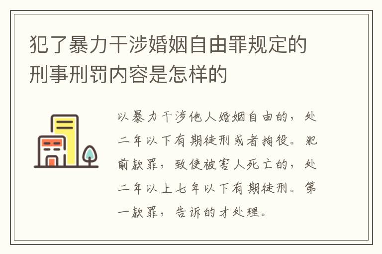 犯了暴力干涉婚姻自由罪规定的刑事刑罚内容是怎样的