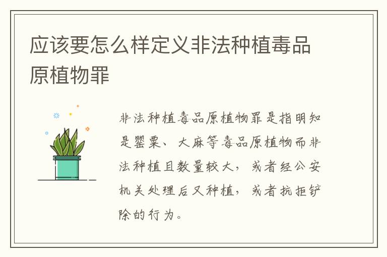 应该要怎么样定义非法种植毒品原植物罪