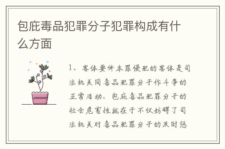 包庇毒品犯罪分子犯罪构成有什么方面