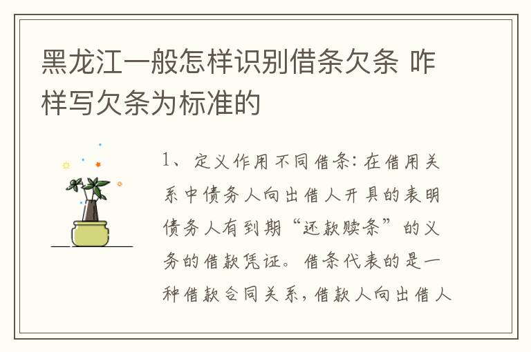 黑龙江一般怎样识别借条欠条 咋样写欠条为标准的