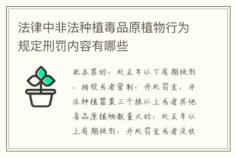 法律中非法种植毒品原植物行为规定刑罚内容有哪些