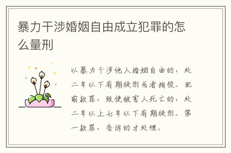 暴力干涉婚姻自由成立犯罪的怎么量刑