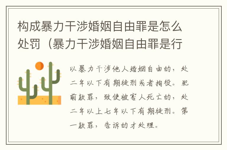 构成暴力干涉婚姻自由罪是怎么处罚（暴力干涉婚姻自由罪是行为犯吗）