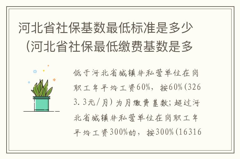 河北省社保基数最低标准是多少（河北省社保最低缴费基数是多少）