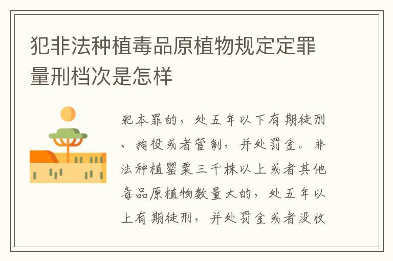 犯非法种植毒品原植物规定定罪量刑档次是怎样