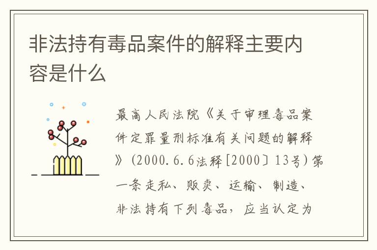 非法持有毒品案件的解释主要内容是什么