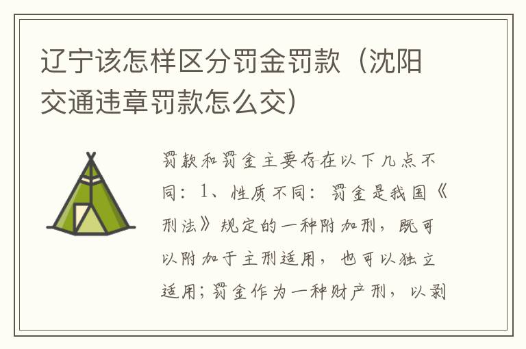 辽宁该怎样区分罚金罚款（沈阳交通违章罚款怎么交）