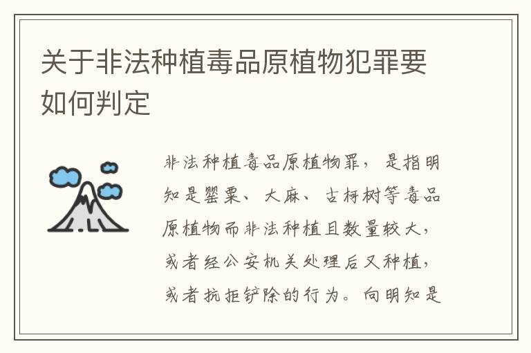 关于非法种植毒品原植物犯罪要如何判定
