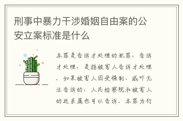 刑事中暴力干涉婚姻自由案的公安立案标准是什么