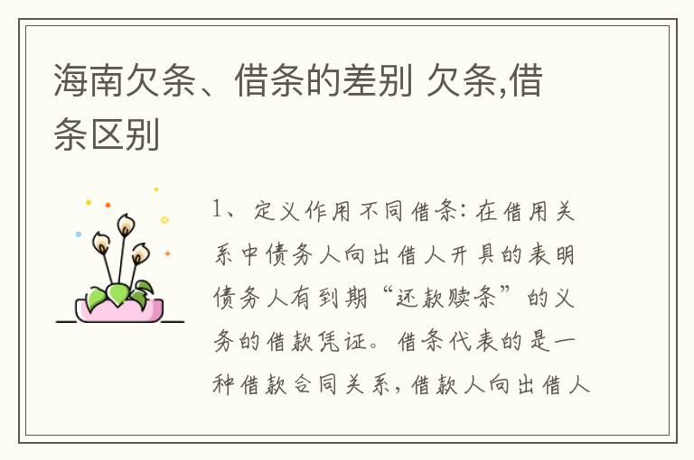海南欠条、借条的差别 欠条,借条区别