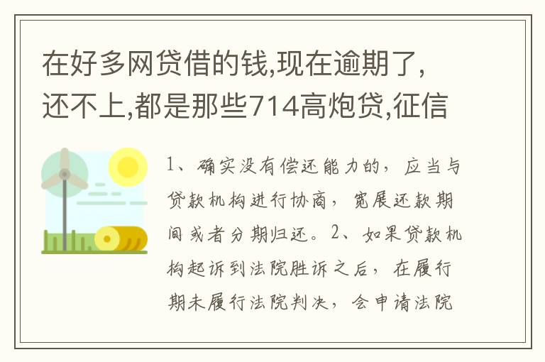 在好多网贷借的钱,现在逾期了,还不上,都是那些714高炮贷,征信上也没有