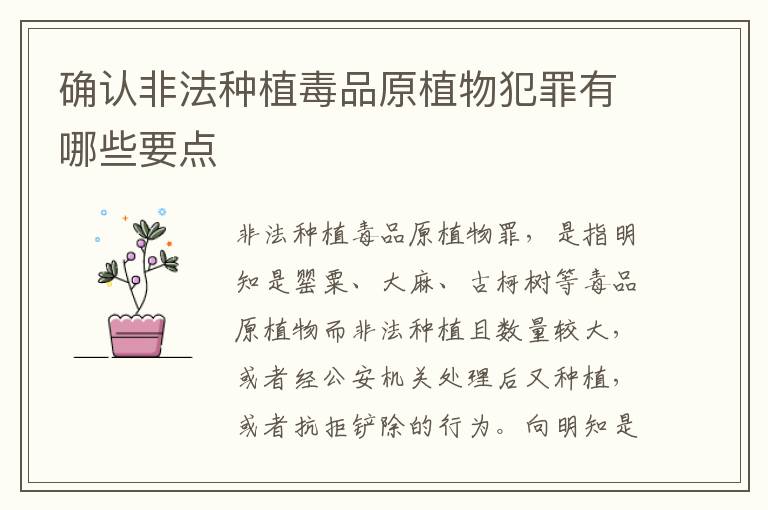 确认非法种植毒品原植物犯罪有哪些要点