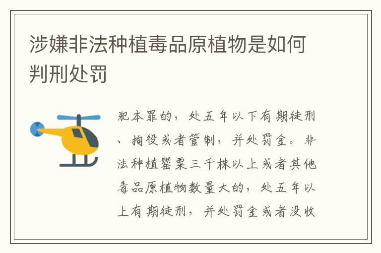涉嫌非法种植毒品原植物是如何判刑处罚