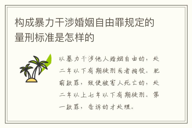 构成暴力干涉婚姻自由罪规定的量刑标准是怎样的
