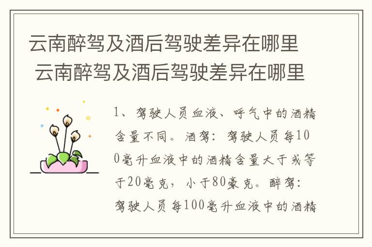 云南醉驾及酒后驾驶差异在哪里 云南醉驾及酒后驾驶差异在哪里查询