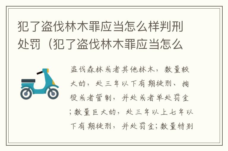 犯了盗伐林木罪应当怎么样判刑处罚（犯了盗伐林木罪应当怎么样判刑处罚呢）