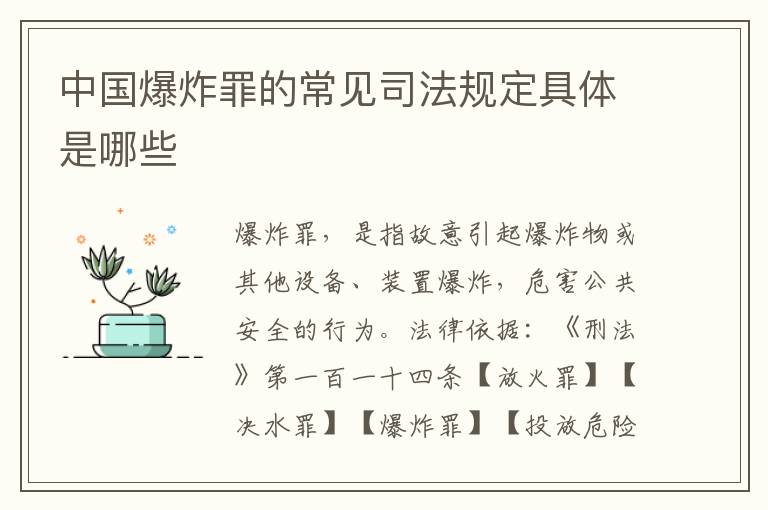 中国爆炸罪的常见司法规定具体是哪些