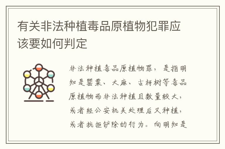 有关非法种植毒品原植物犯罪应该要如何判定
