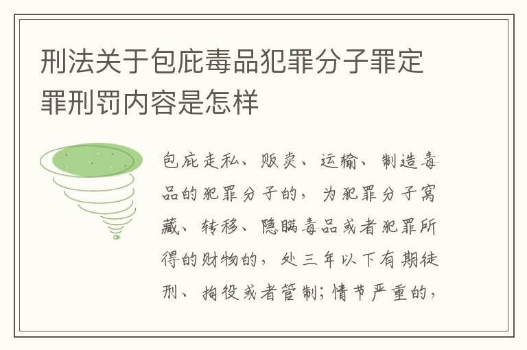刑法关于包庇毒品犯罪分子罪定罪刑罚内容是怎样
