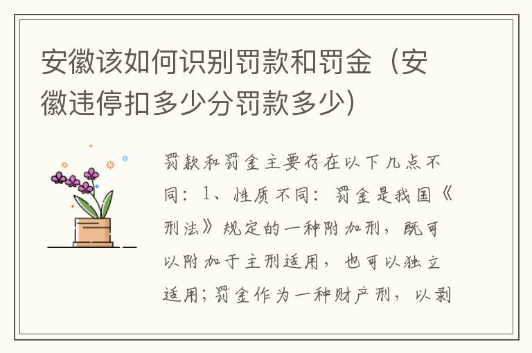 安徽该如何识别罚款和罚金（安徽违停扣多少分罚款多少）