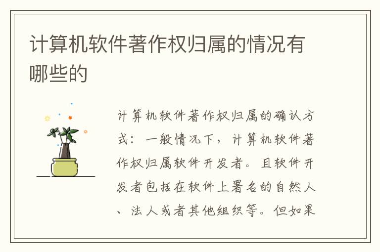 计算机软件著作权归属的情况有哪些的