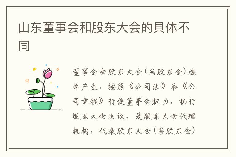 山东董事会和股东大会的具体不同