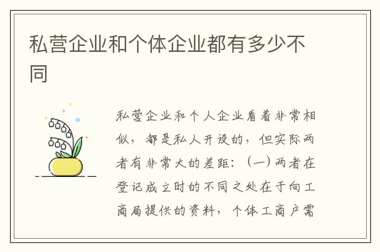 私营企业和个体企业都有多少不同