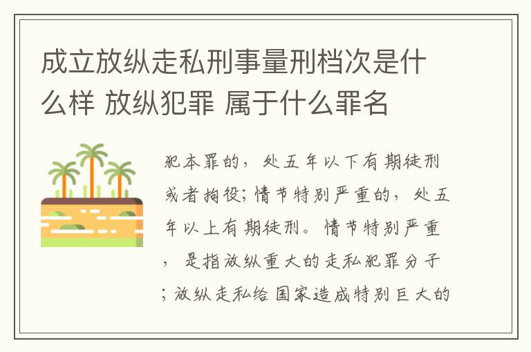成立放纵走私刑事量刑档次是什么样 放纵犯罪 属于什么罪名