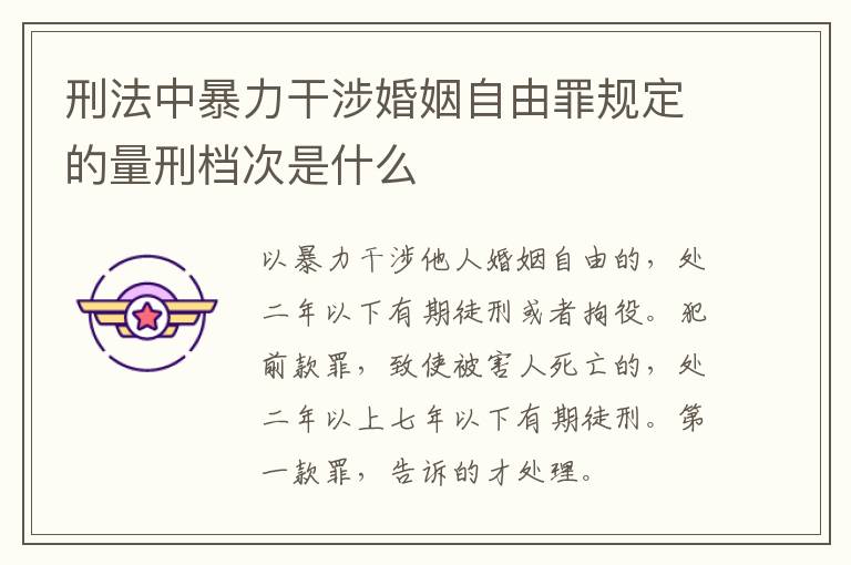 刑法中暴力干涉婚姻自由罪规定的量刑档次是什么