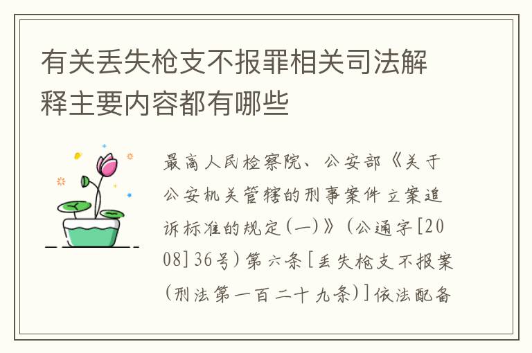 有关丢失枪支不报罪相关司法解释主要内容都有哪些